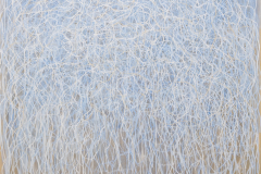 15.-200-x-170-cm-acryl-op-linnen-2025