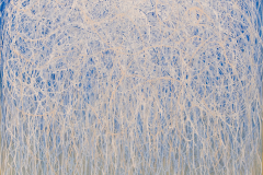 170x140 cm acryl on canvas 2022