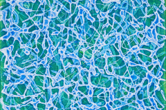 6.-30-x-30-cm-acryl-op-linnen-2026