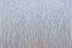 9.-200-x-175-cm-acryl-op-linnen-2026